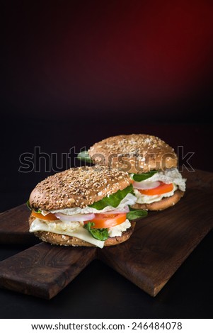 Burger on dark background with copy space