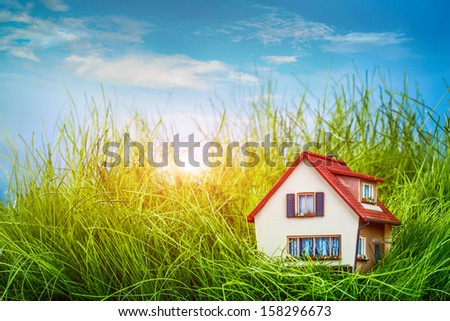 Little House on the green grass Little House on the green grass