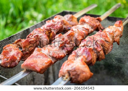 Shish kebab on metal skewers outdoor picnic