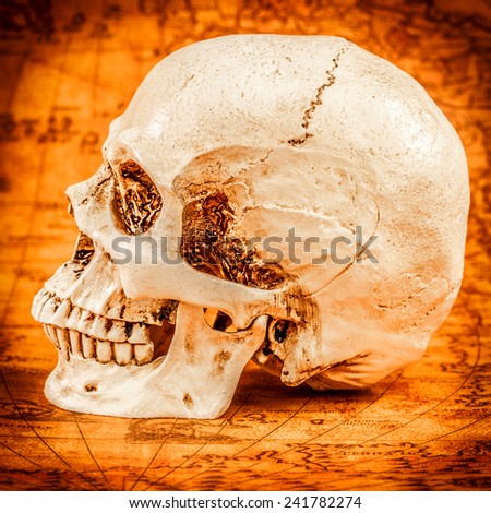 Human skull on old map