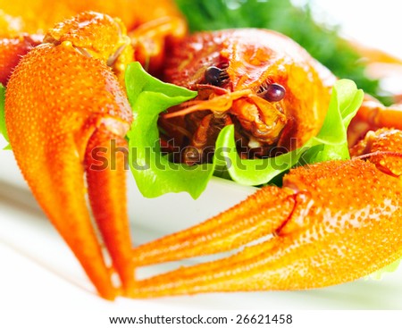 Boiled crawfish on a white background...