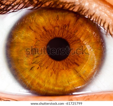 Eye of the person, a pupil photographed close up