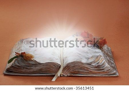 decorative gold and white book