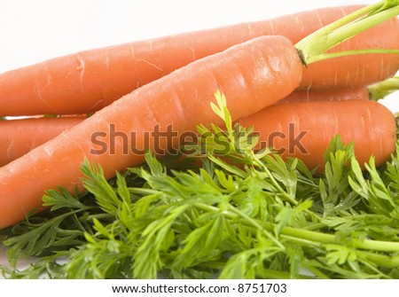 A bunch of fresh carrots isolated on white background.
