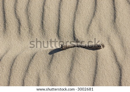 Sand patterns on Bribie Island, Sunshine Coast