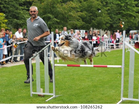 BRUSSELS, BELGIUM - JULY, 21: Unidentified participant of Agility competitions of Club Cynologique d'Ile Sainte-Helene runs with his dog during National Day of Belgium on July 21, 2012 in Brussels.