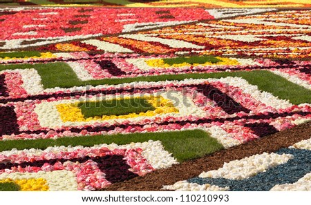 Details of Flower Carpet on Grand Place in Brussels