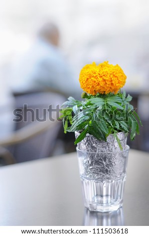 Yellow flower on a table in cafe and a silhouette of an aged man behind