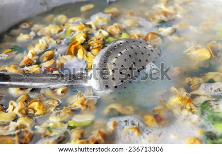 Edible snails boiled in salted water with spices