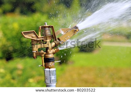 Water sprayed in city garden in hot summer day