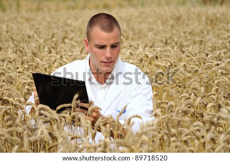 Young agronomist or a student checking results of his experiment in the wheat field