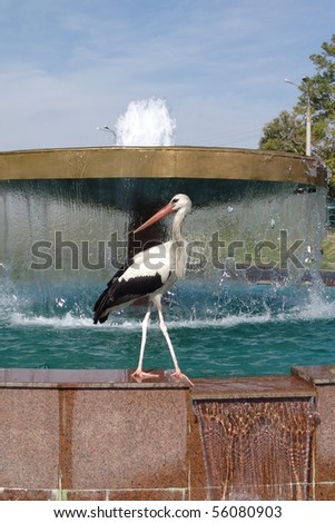 bird and fountain