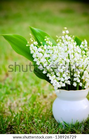 Lily of the valley in flowerpot isolated on the lawn