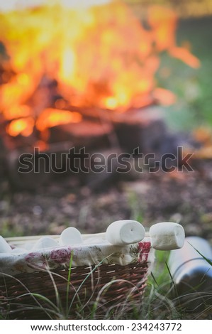 Little girl and her father roasting a marshmallow in the campfire
