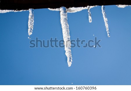 water drop fall down from roof icicles