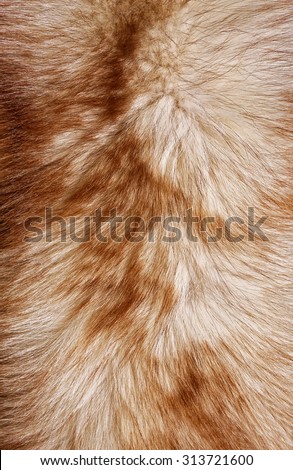 Red fox rough fur texture cloth abstract, furry rusty texture plain surface, rough pelt background, horizontal orientation, nobody,close-up