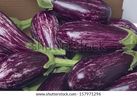 Fresh aubergine / egg-plant in a box isolated on white background