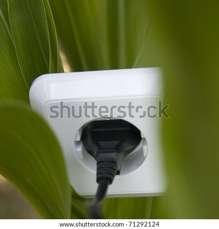 Electric plug is a grassfield as a concept of alternative energy