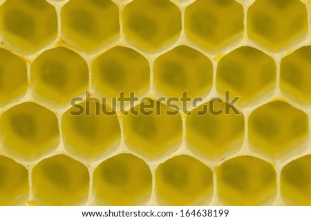 Honeycomb pattern with yellow empty cells in daylight