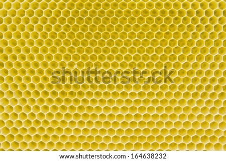 Honeycomb pattern with yellow empty cells in daylight