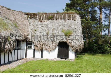Grass Thatched Roofs