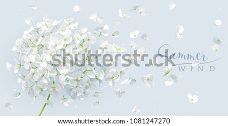 Summer wind - luxurious white vector Hydrangea flower and Apple blossom with flying petals in watercolor style for 8 March, wedding, Valentine\'s Day,  Mother\'s Day, sales and other seasonal events.