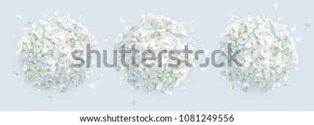 Tree vector white Hydrangea flowers and Apple blossom with flying petals in watercolor style  for 8 March, wedding, Valentine's Day,  Mother's Day, sales and other seasonal events.