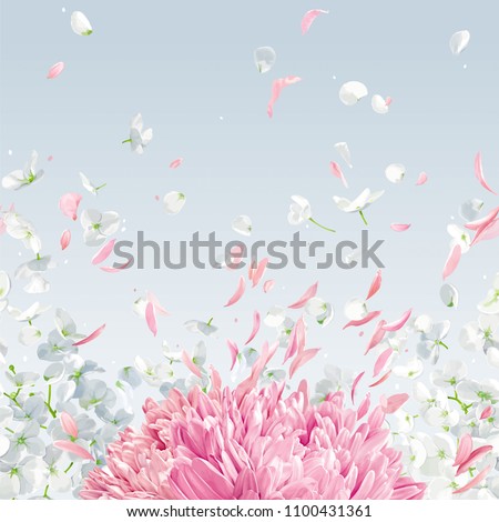 Summer wind - luxurious white vector Hydrangea flower, Apple blossom, Pink Chrysanthemums, background with flying petals in watercolor style