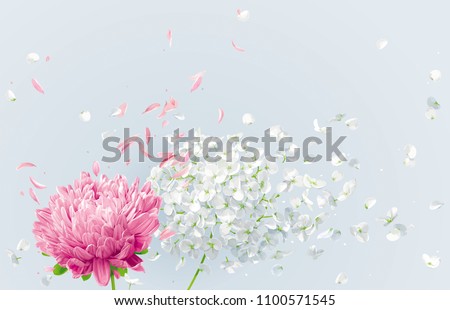 Summer wind - white vector Hydrangea flower, Apple blossom and pink Chrysanthemumwith flying petals in watercolor style for 8 March, wedding decoration, Valentine's Day,  Mother's Day, seasonal sales