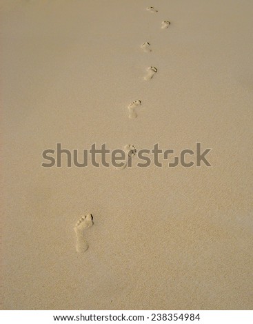 On a sandy beach, several human footprints create a natural path without any figure in the picture.