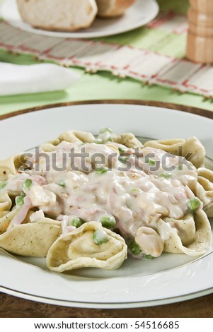 Capeletti of cream cheese, green sauce and pasta with bechamel (white sauce). Studio photography.
