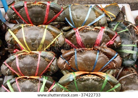 Crabs at Market