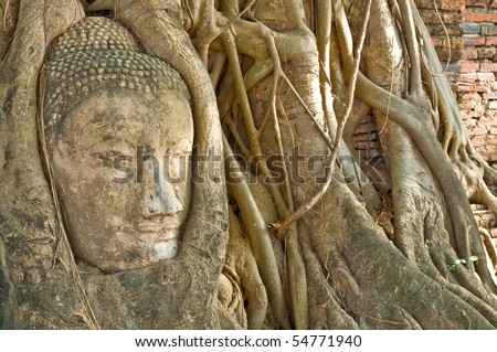 Face of Buddha covered by overgrown roots of a fig tree, Wat Mahathat, Ayutthaya, Thailand