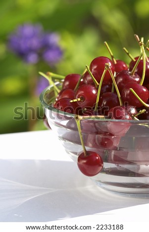 fruit still life: sweet cherry in the glassy bowl