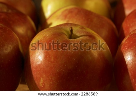 close up of red ripe apple with stem