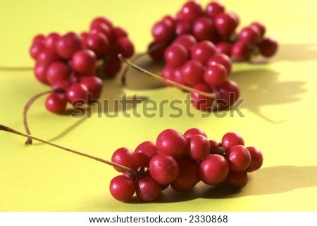 Schizandra Berries