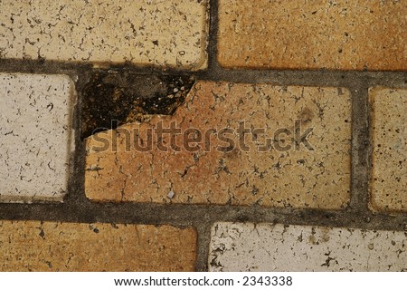 texture series: yellow brick road background