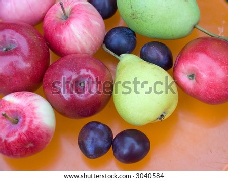 freshly grown ripe and tasty natural apples, plum, pear