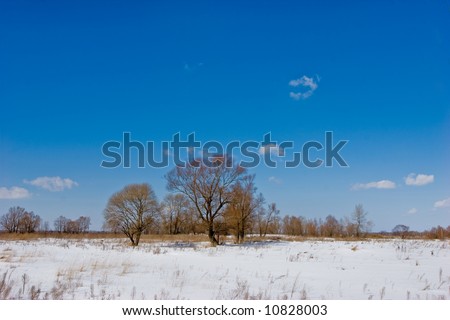 nature series: winter landscape, fine sun weather
