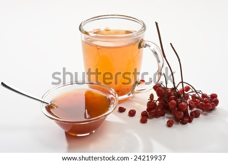 beverage series: cup of tea, viburnum and jam