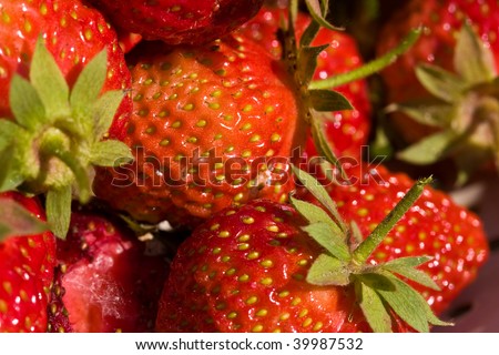 food series: freshly grown tasty strawberry texture