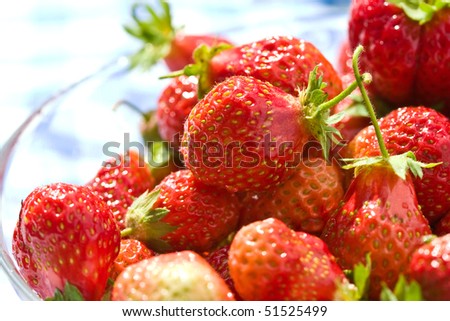 food series: freshly grown tasty strawberry on plate