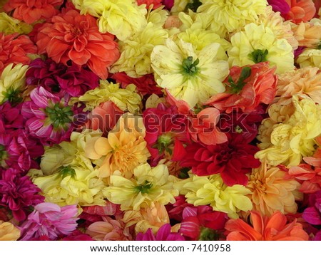 Assorted flowers with different colors in indian temple