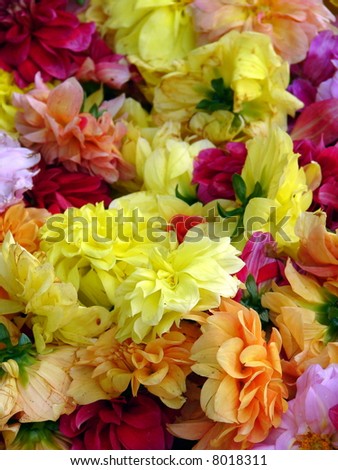 Assorted Flowers ready for aromatherapy flowers spa