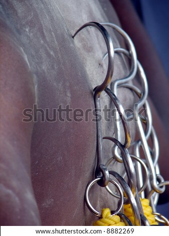 Body piercing of Indian devotee during Thaipusam festival