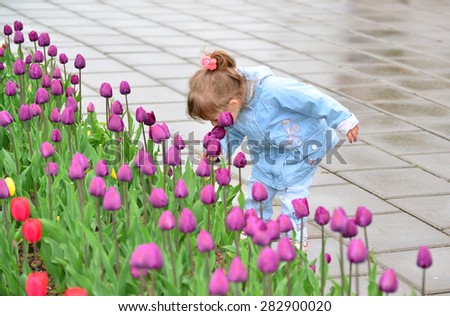 Little girl near the flower beds with a tulips
