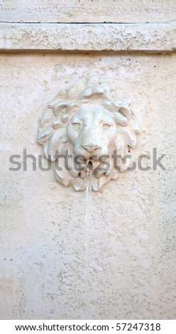 Lion\'s head water spout