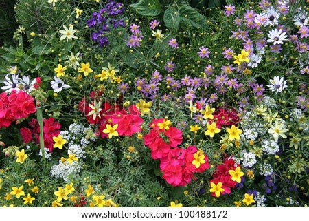 Spring flower garden with various types of flowers in red, yellow, white, purple, and other colors.