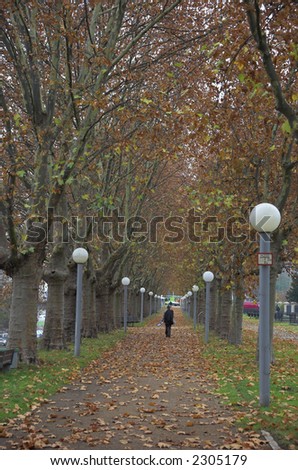 Man walking on a autumnal  path