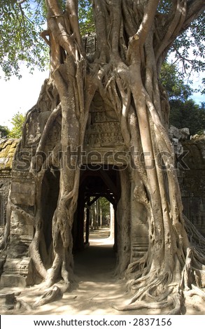 of Angkor Wat Cambodia